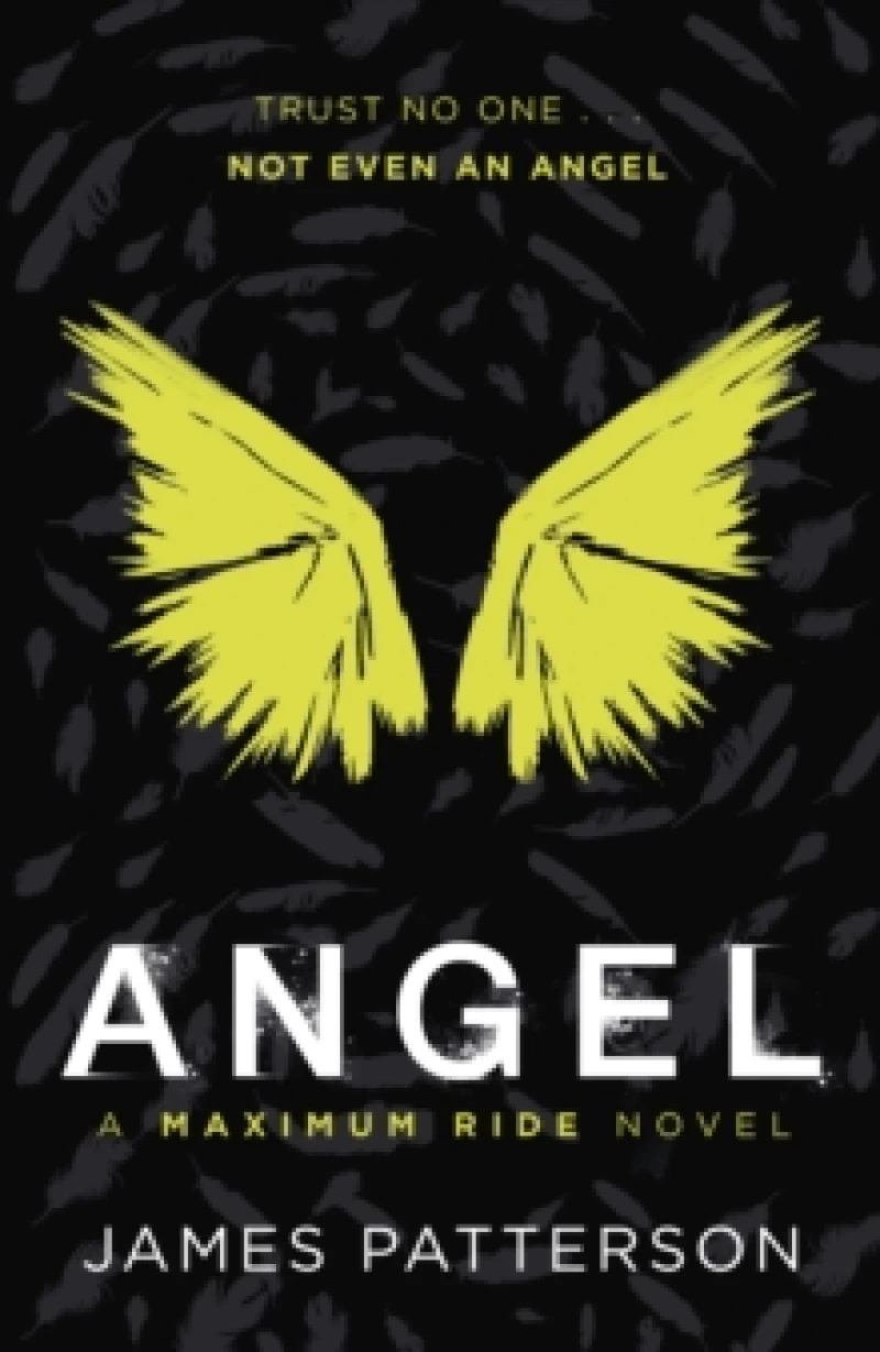 Angel: A Maximum Ride Novel