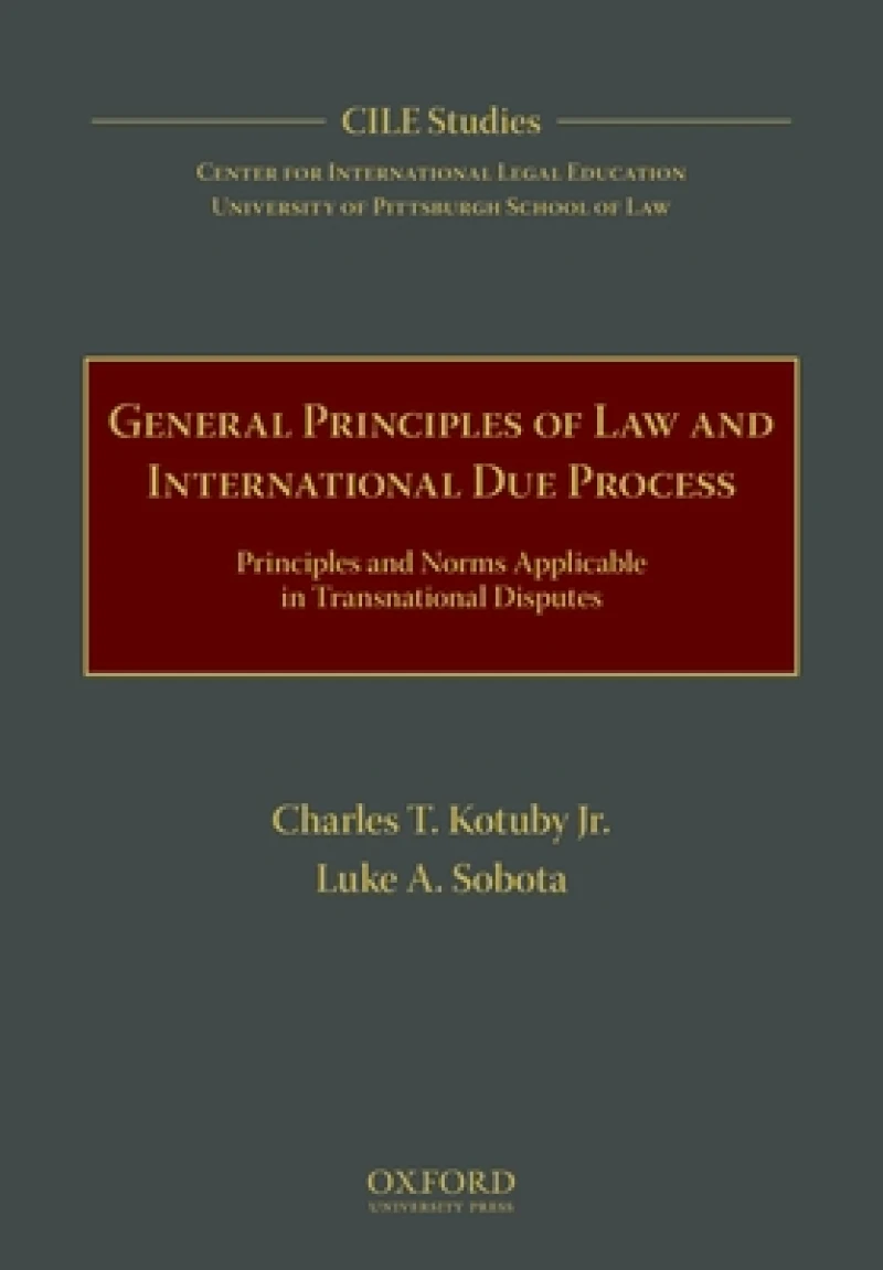 General Principles of Law and International Due Process
