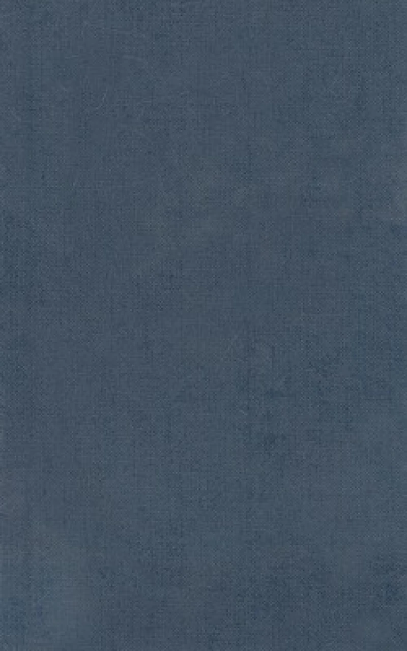 Homer Vol. II. Iliad (Books XIII-XXIV)