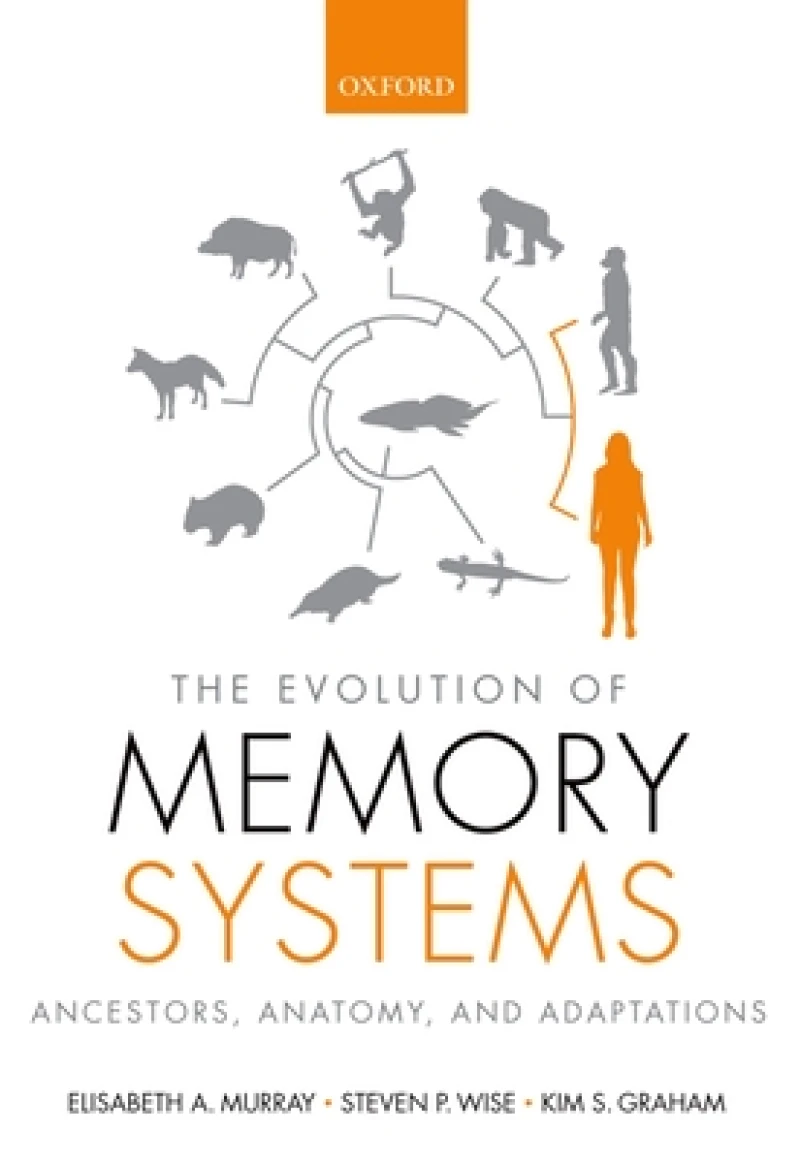 The Evolution of Memory Systems