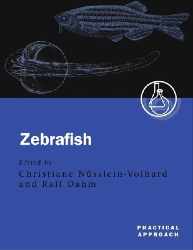 Zebrafish