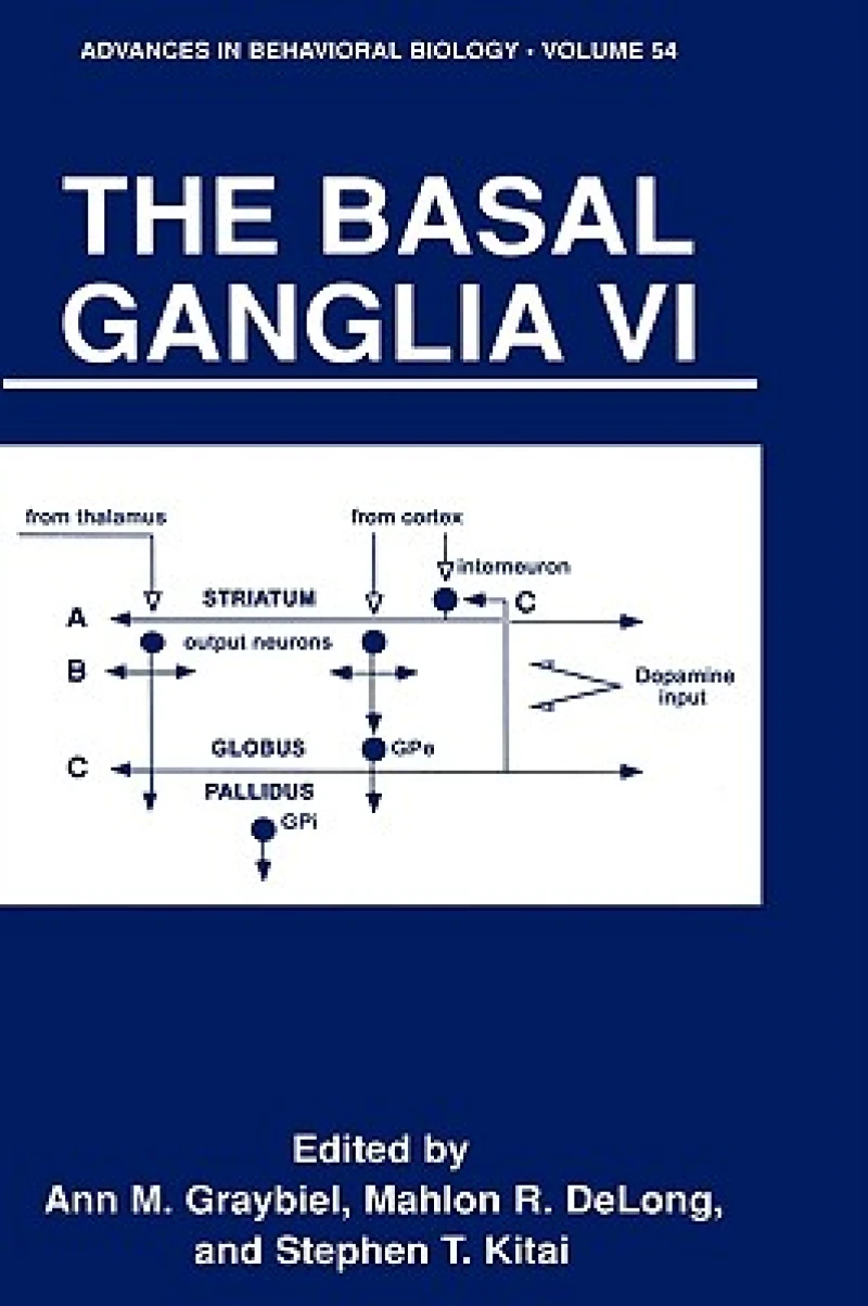 The Basal Ganglia VI