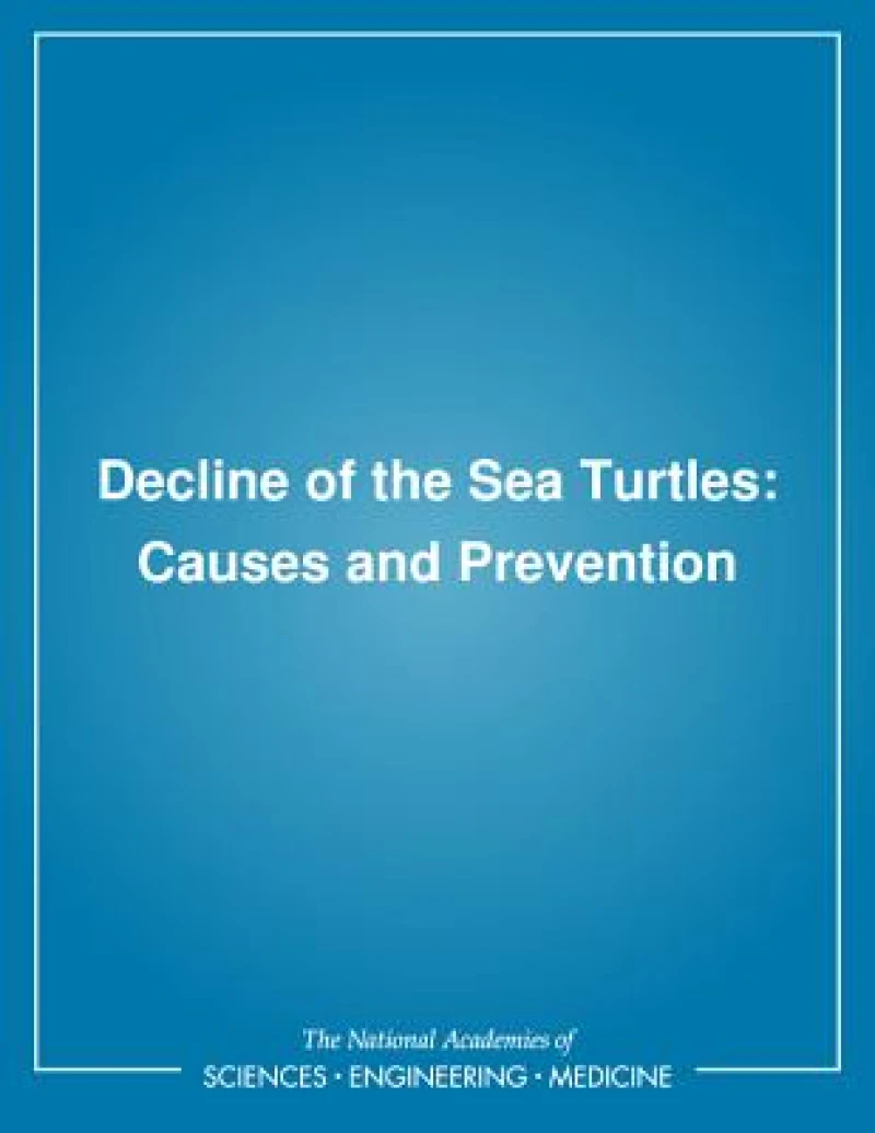 Decline of the Sea Turtles