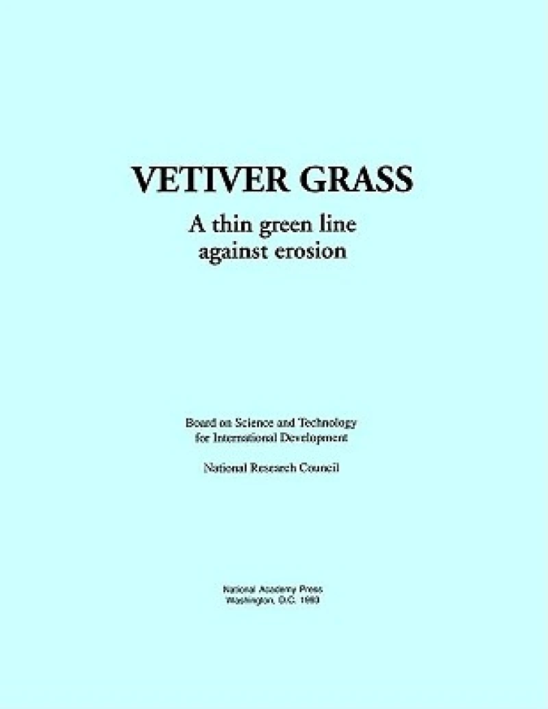 Vetiver Grass