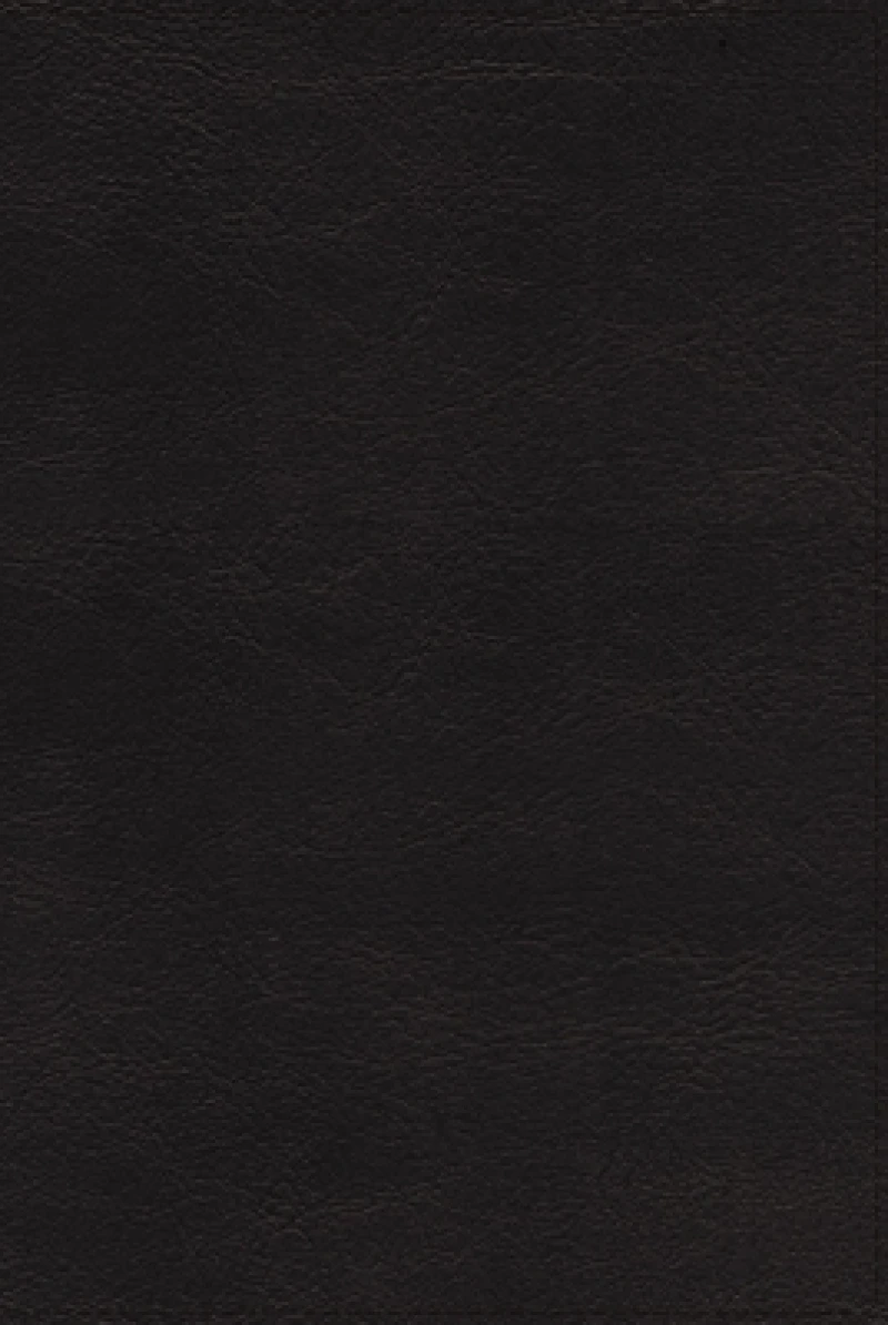 NRSVue, Holy Bible, Leathersoft, Black, Comfort Print