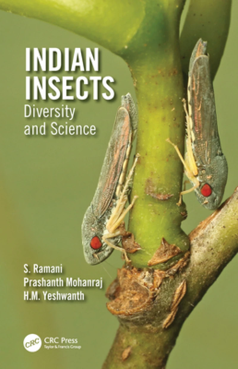 Indian Insects
