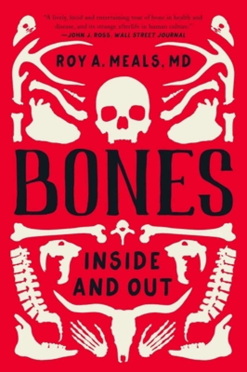 Bones