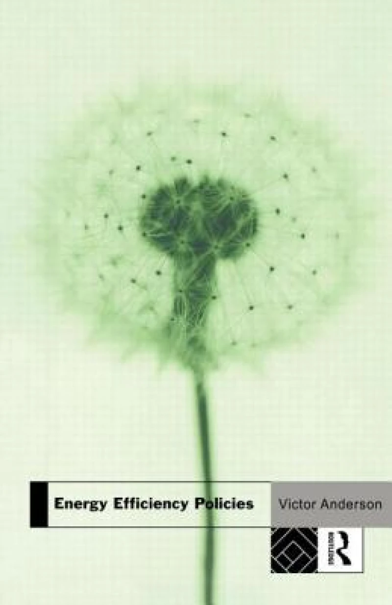 Energy Efficiency Policies