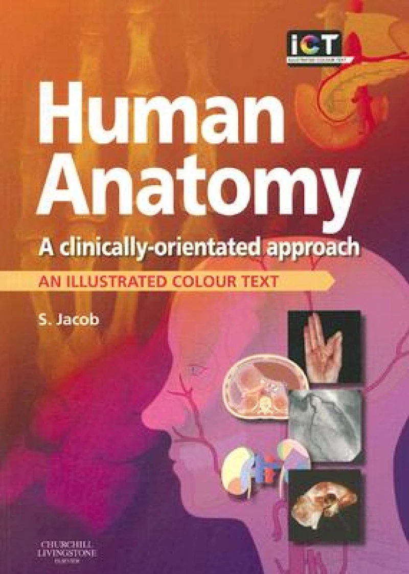 Human Anatomy