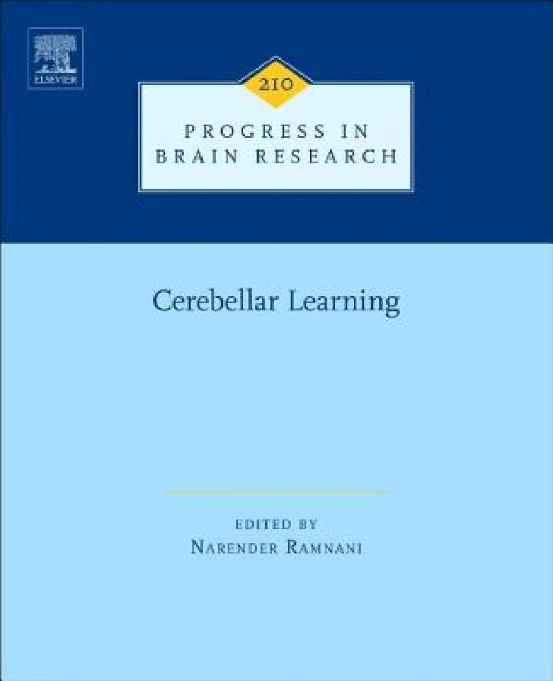 Cerebellar Learning