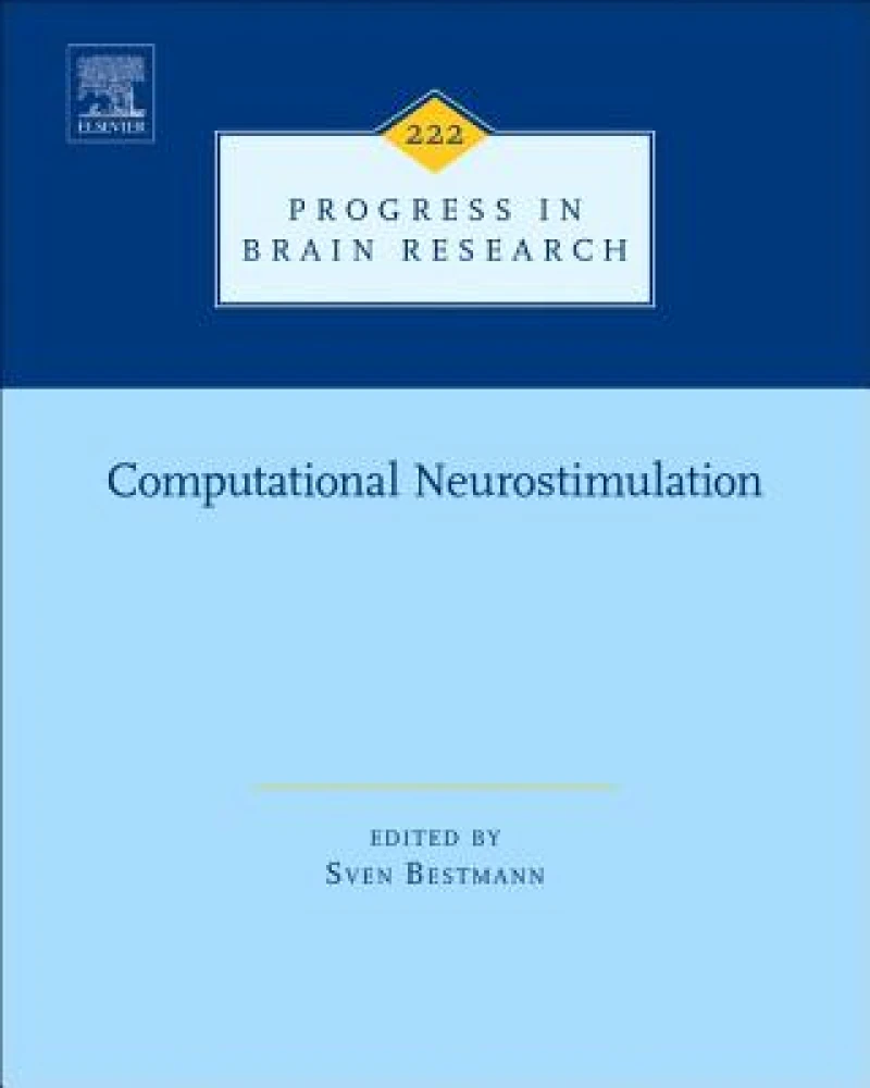Computational Neurostimulation