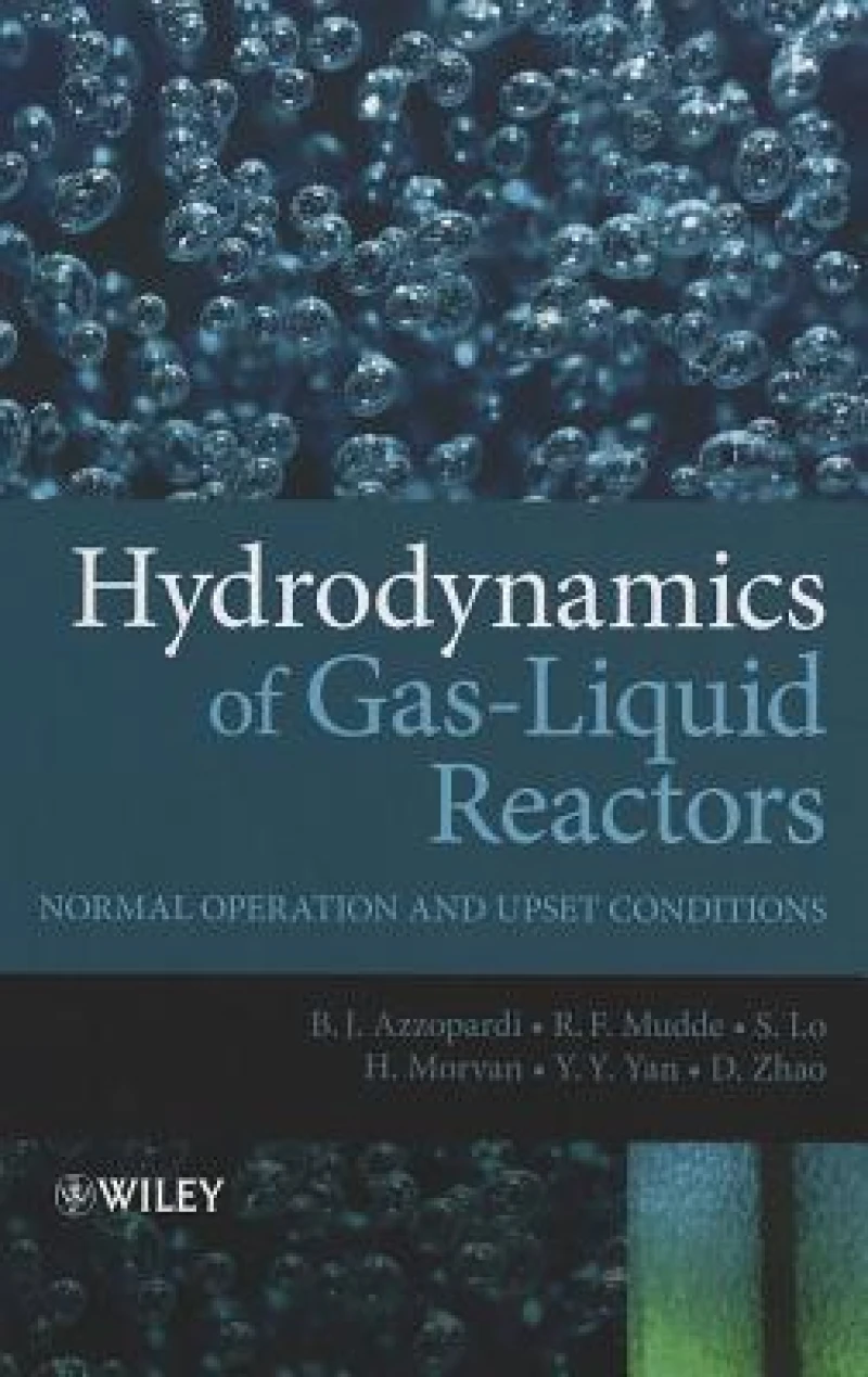 Hydrodynamics of Gas-Liquid Reactors