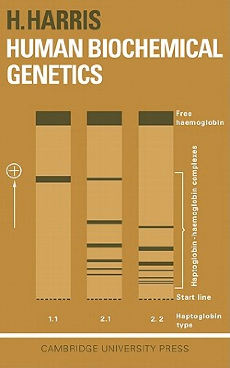 Human Biochemical Genetics