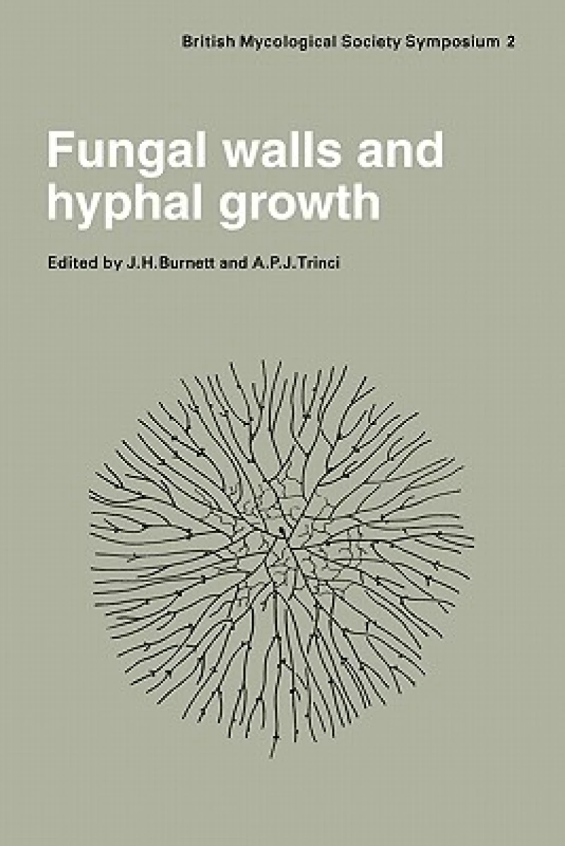 Fungal Walls and Hyphal Growth