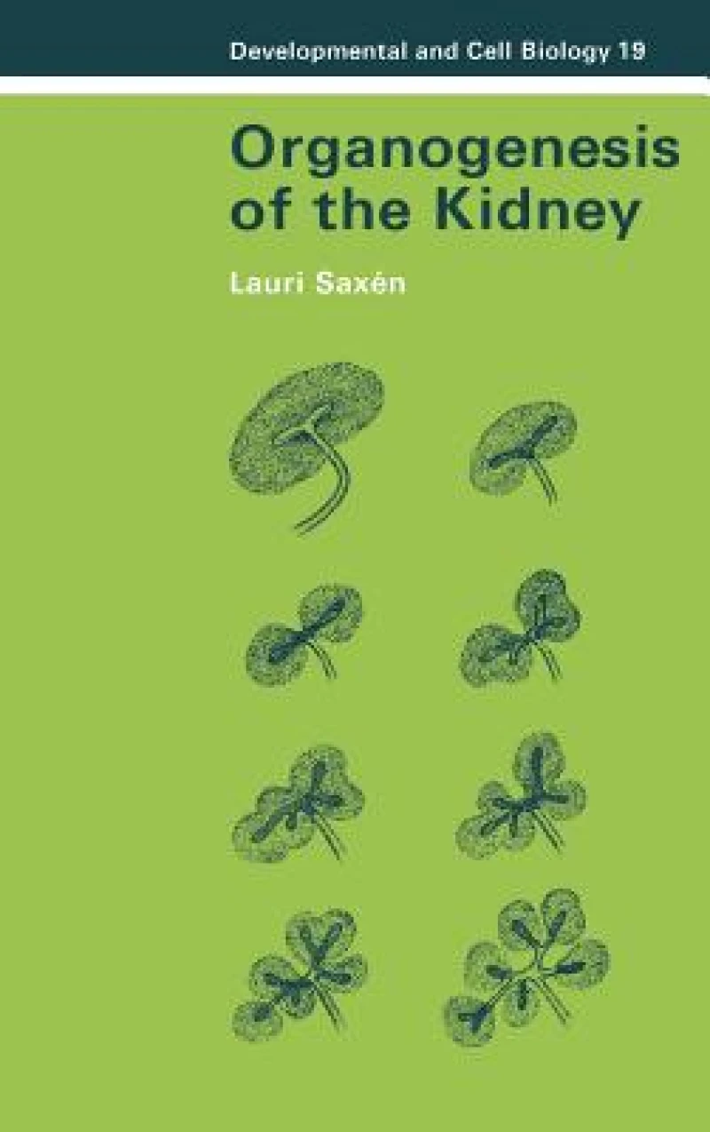 Organogenesis of the Kidney