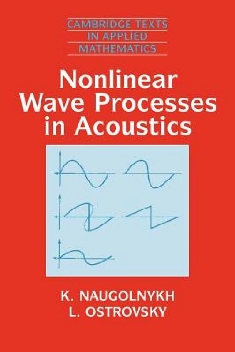 Nonlinear Wave Processes in Acoustics