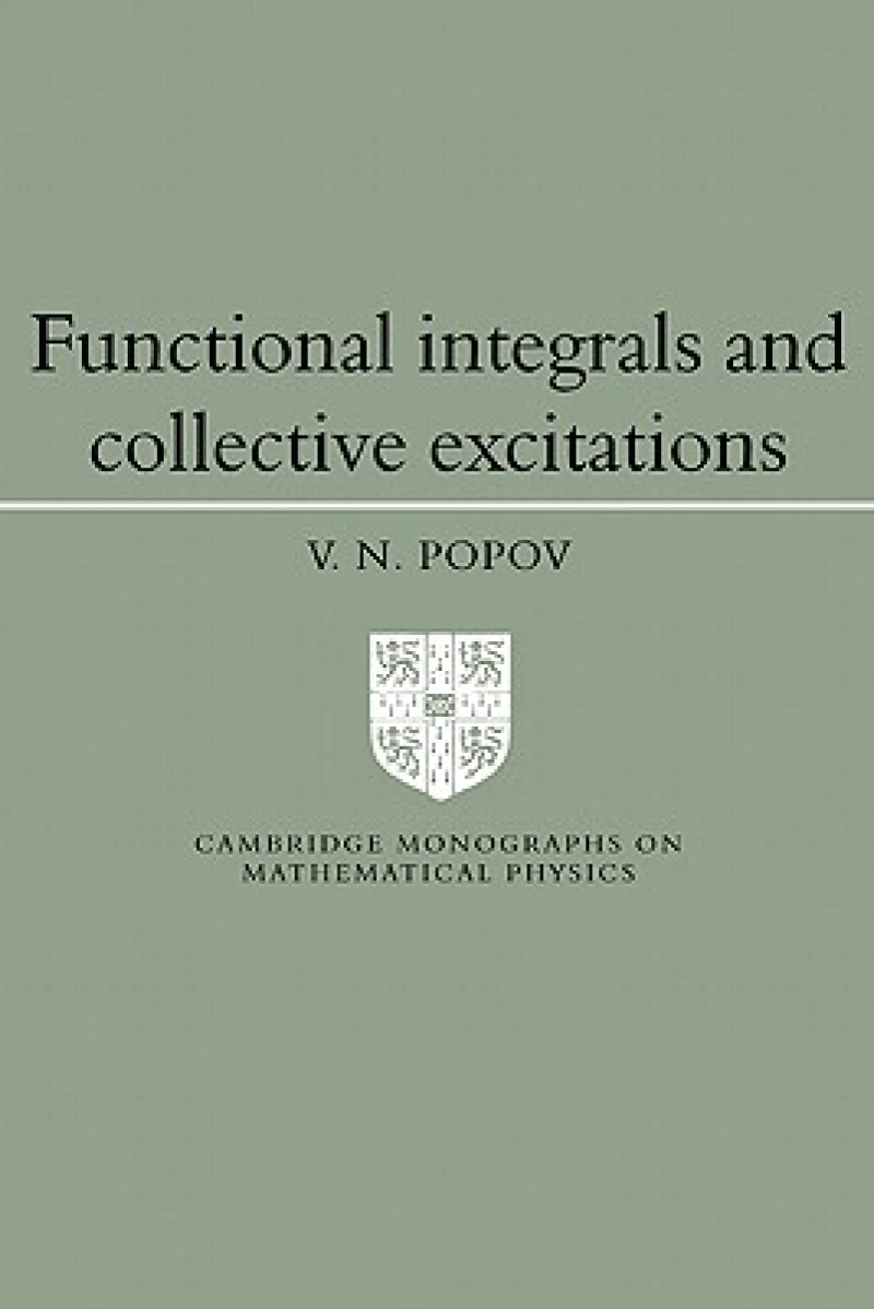 Functional Integrals and Collective Excitations