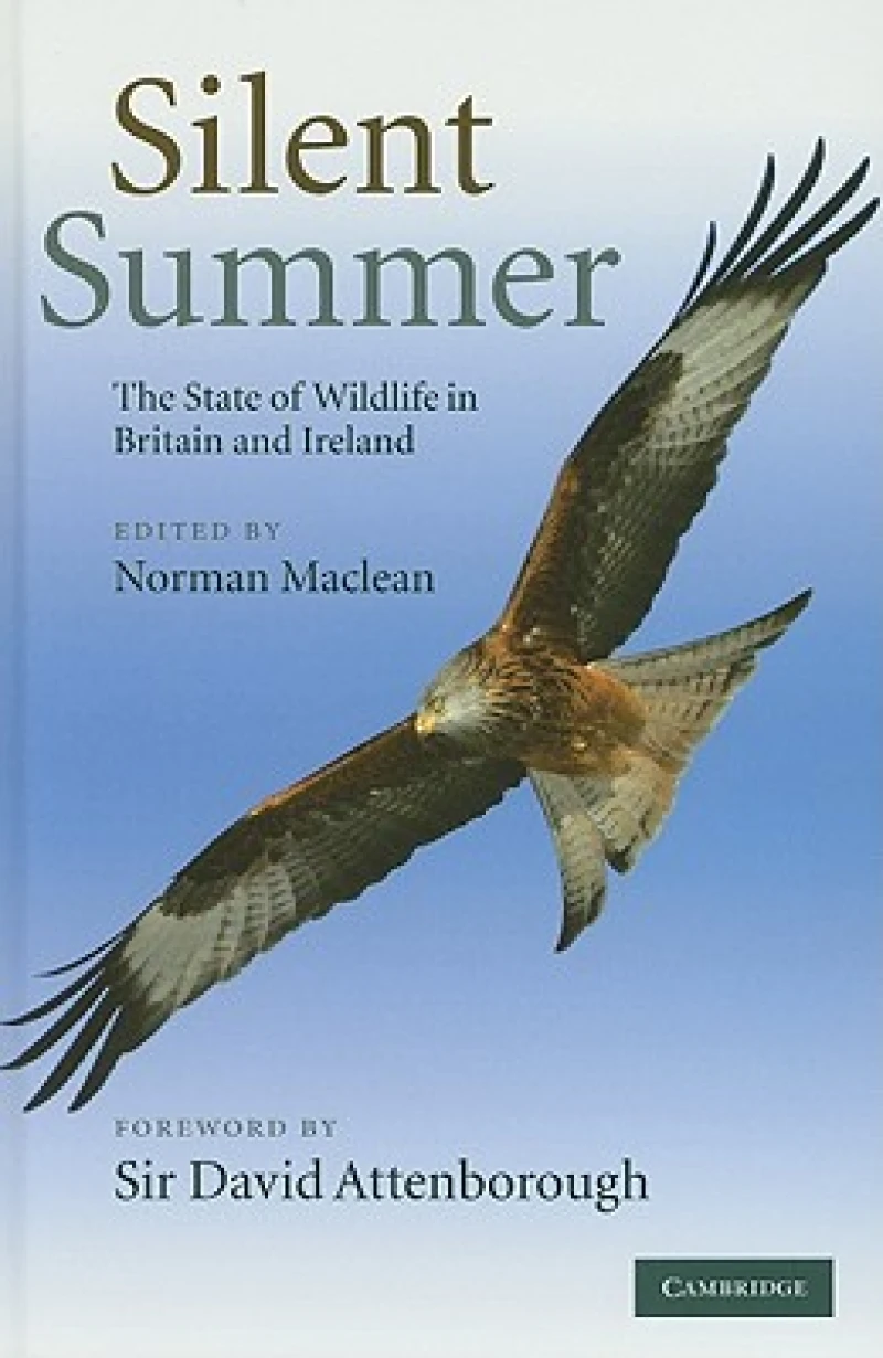 Silent Summer