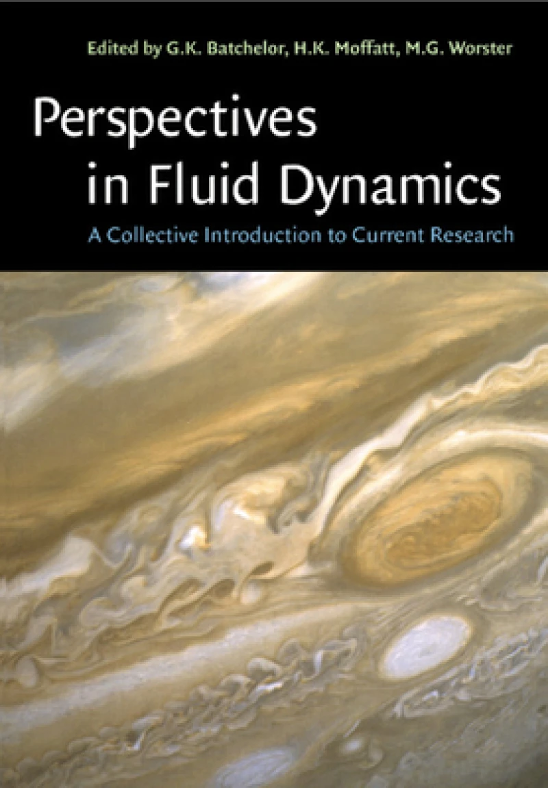 Perspectives in Fluid Dynamics