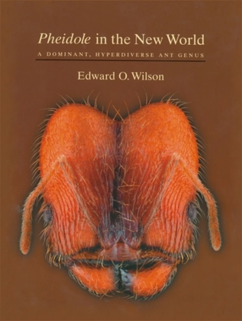 Pheidole in the New World