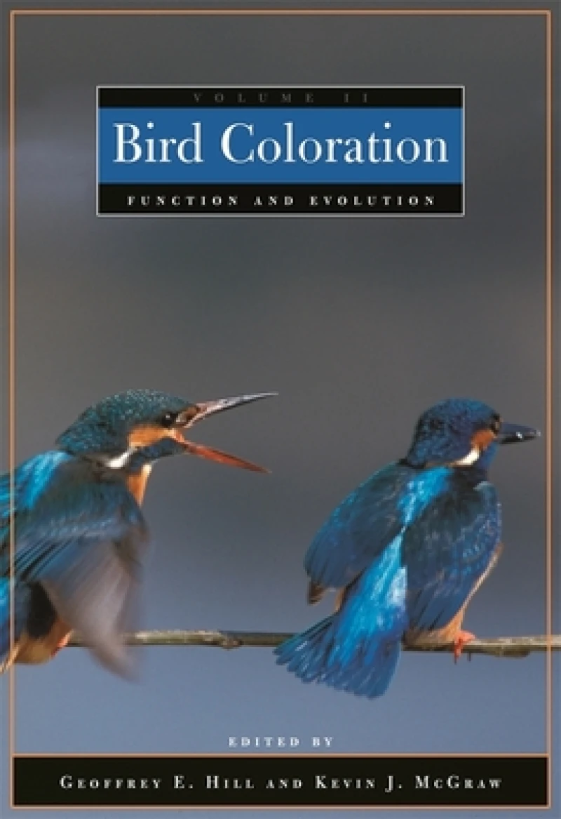 Bird Coloration