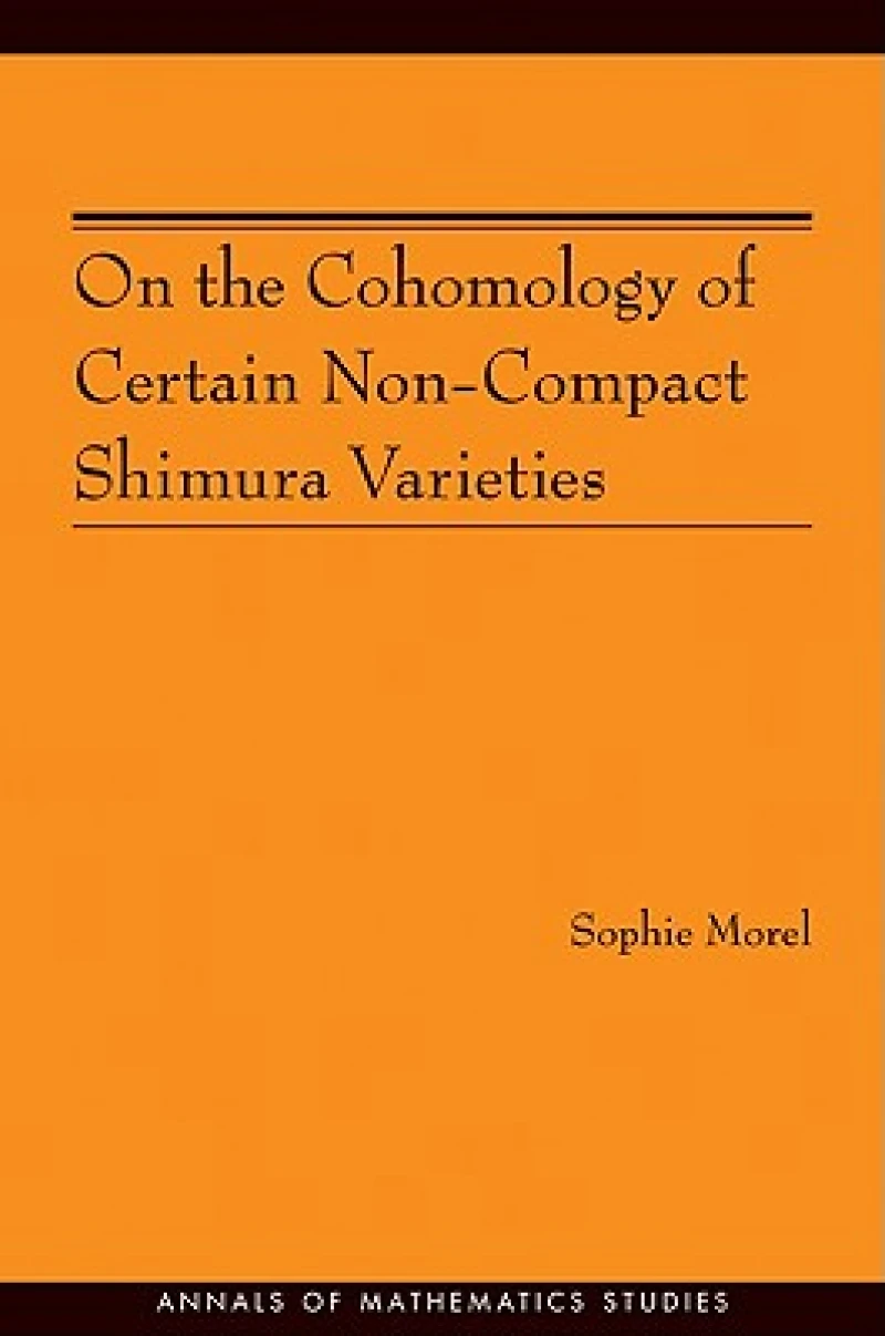 On the Cohomology of Certain Non-Compact Shimura Varieties
