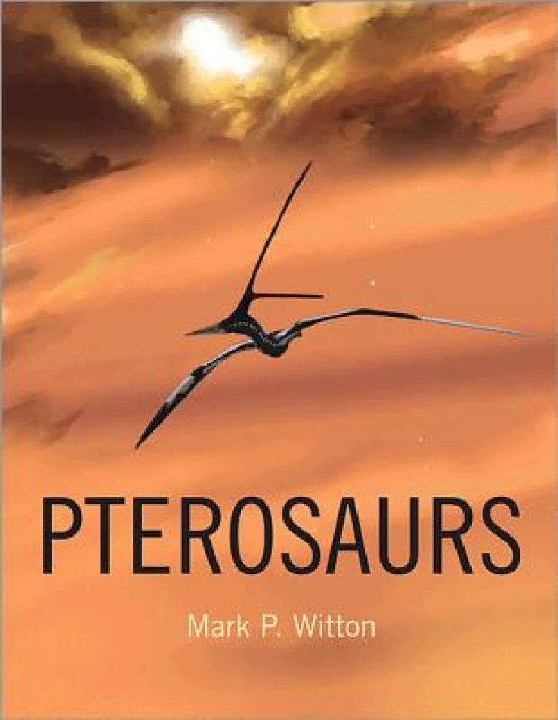 Pterosaurs