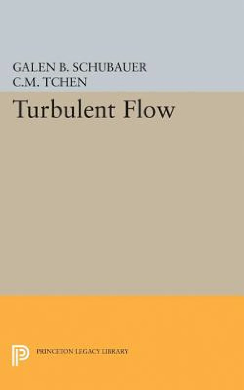 Turbulent Flow