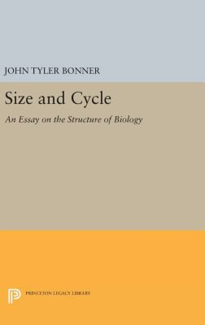 Size and Cycle