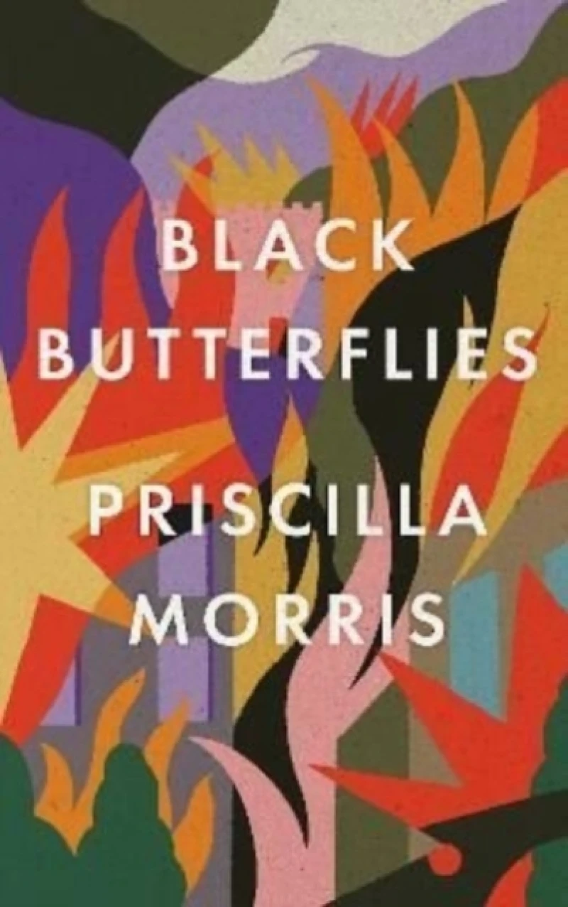 Black Butterflies: the exquisitely crafted debut novel that captures life inside the Siege of Sarajevo