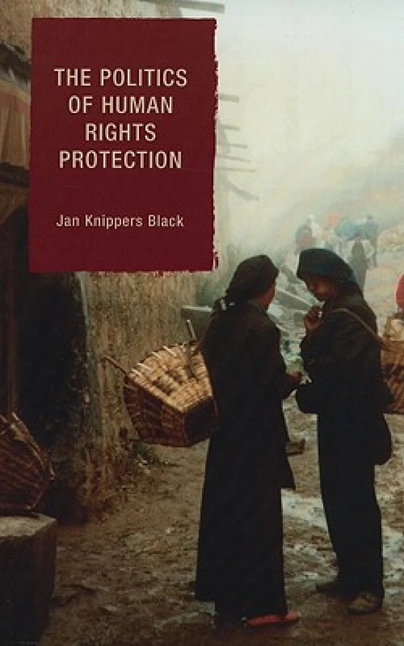 The Politics of Human Rights Protection
