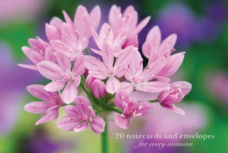 Card Box of 20 Notecards and Envelopes: Allium