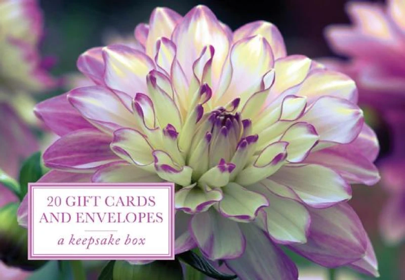 Tin Box of 20 Gift Cards and Envelopes: Dahlia