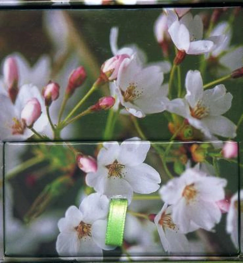 Memo Block Cherry Blossom