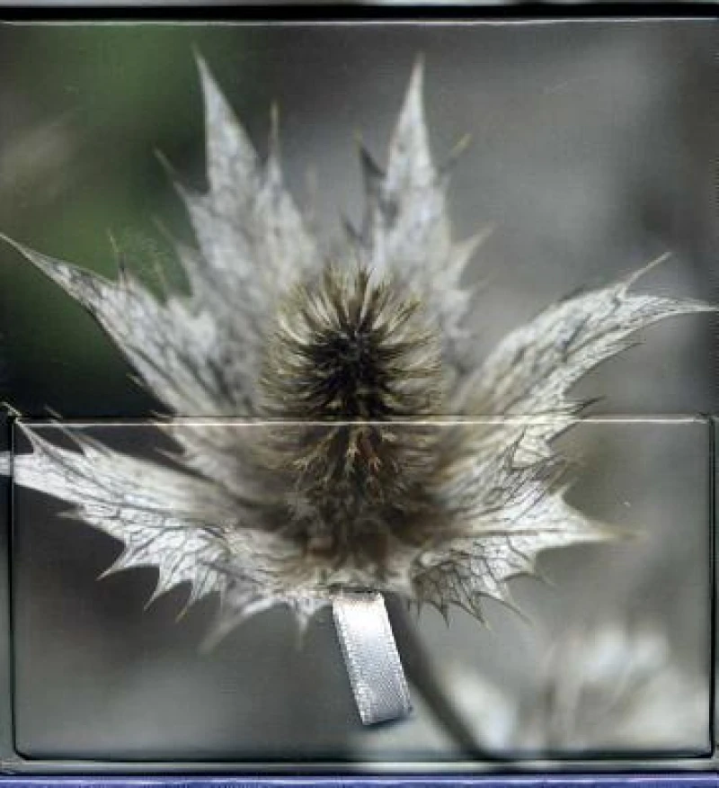 Memo Block Winter Flower