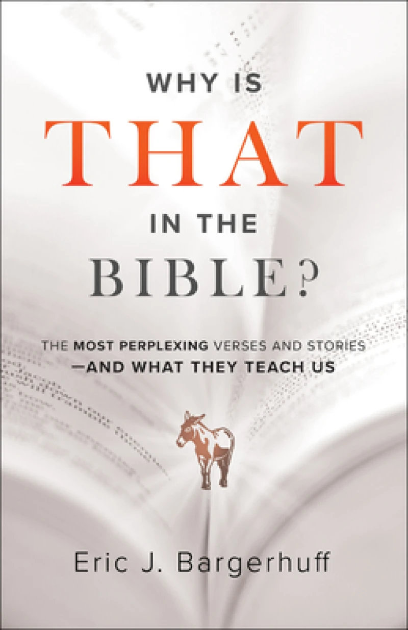 Why Is That in the Bible? – The Most Perplexing Verses and Stories––and What They Teach Us