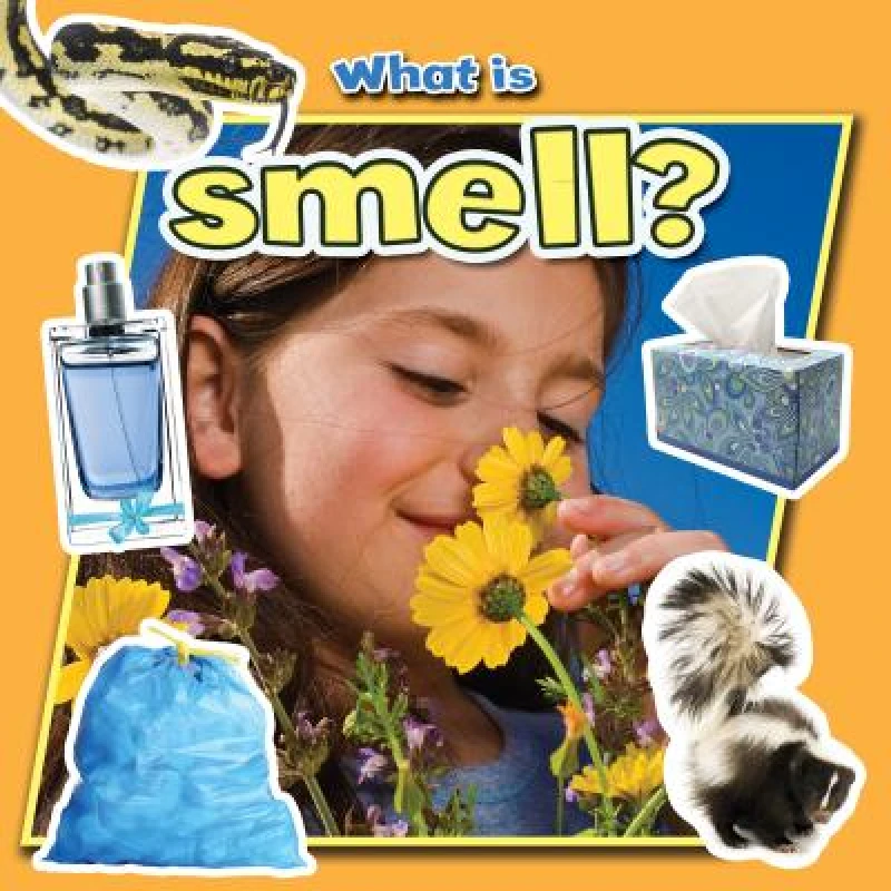 What is Smell?