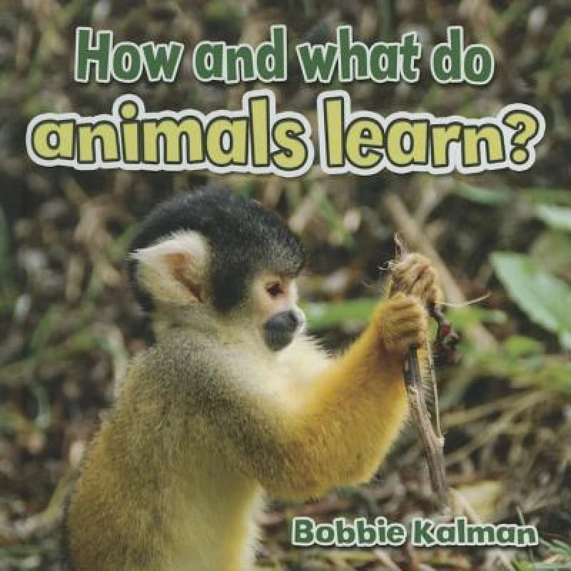 How and What Do Animals Learn