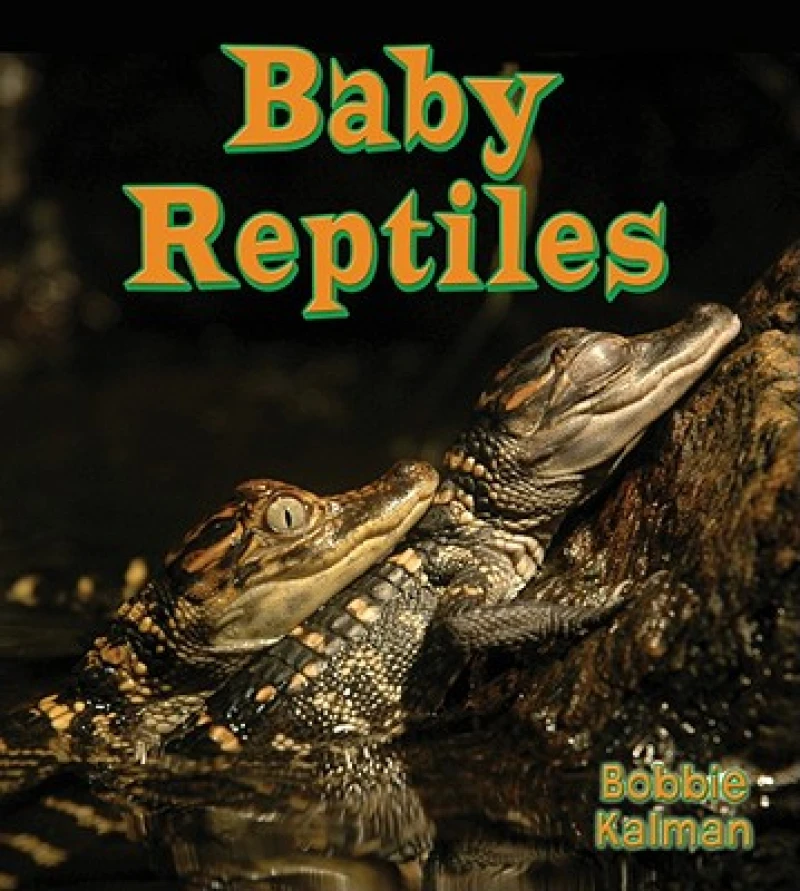 Baby Reptiles