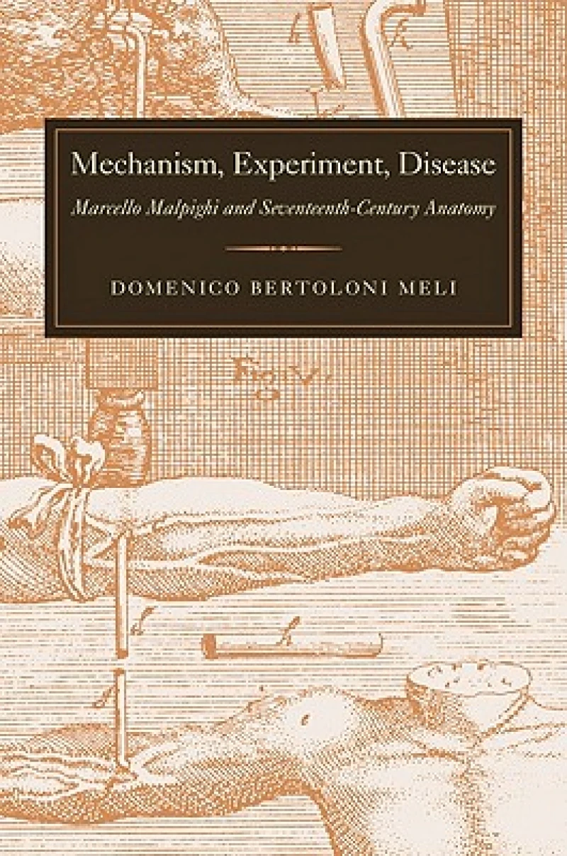 Mechanism, Experiment, Disease