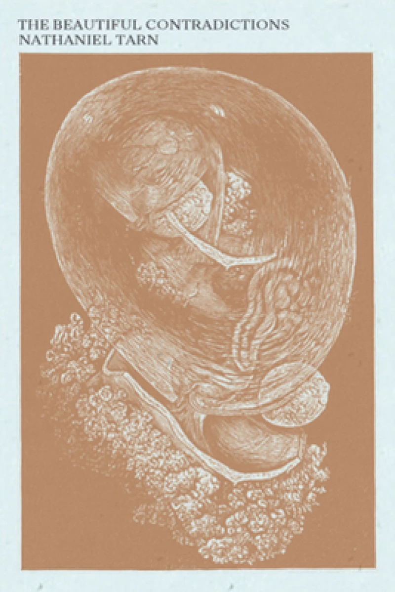 The Beautiful Contradictions