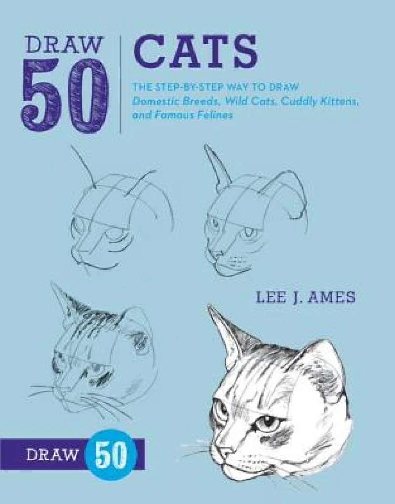 Draw 50 Cats