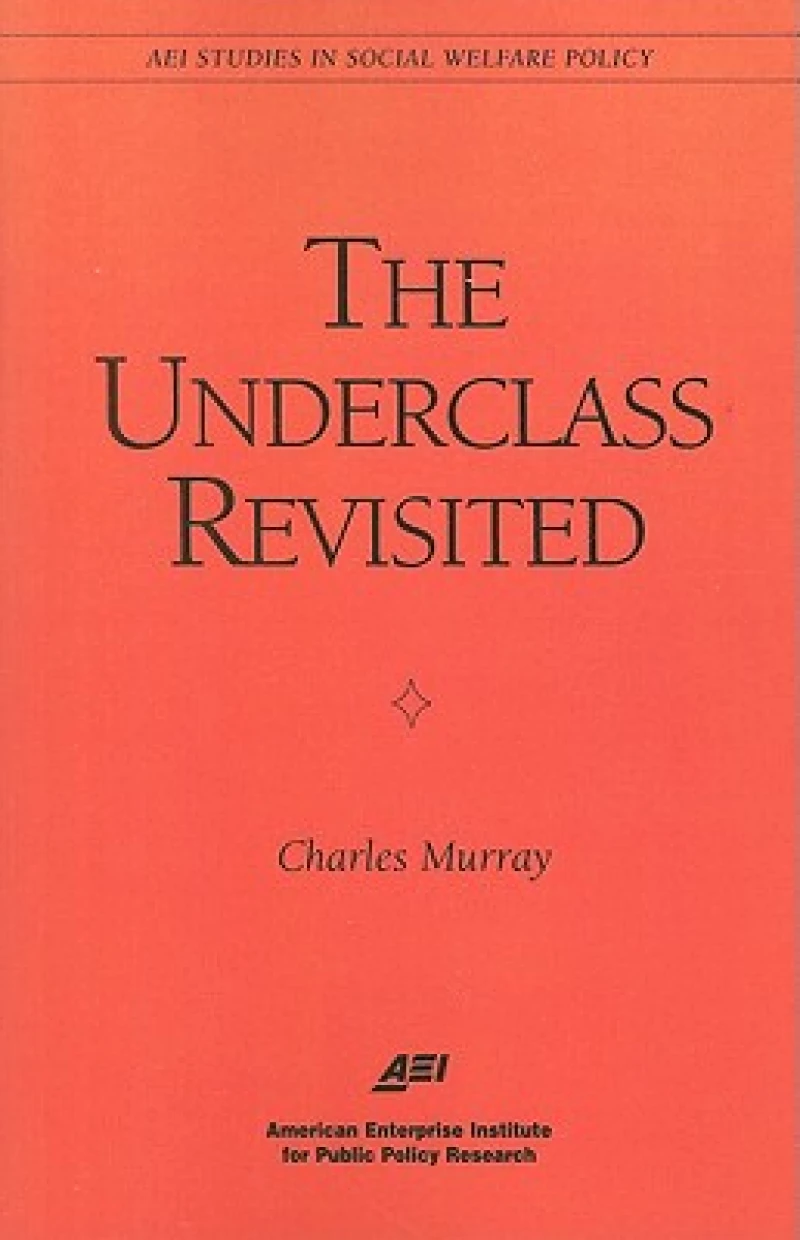 The Underclass Revisited