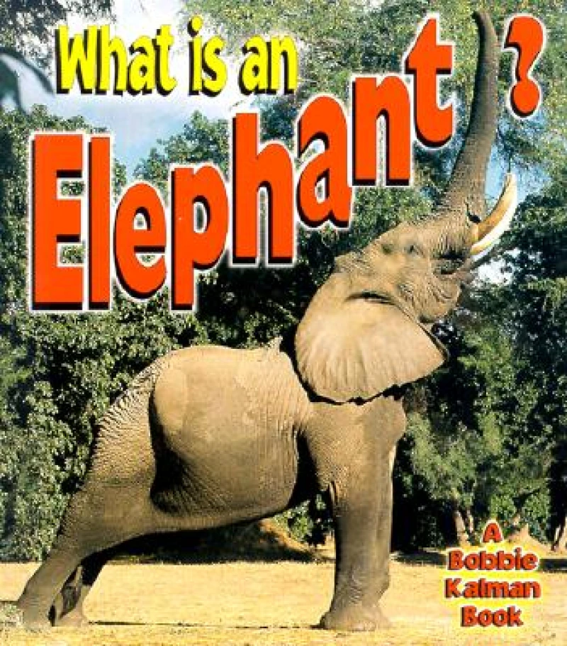 What is an Elephant