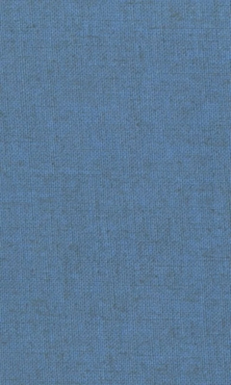 The Greek Prothetic Vowel