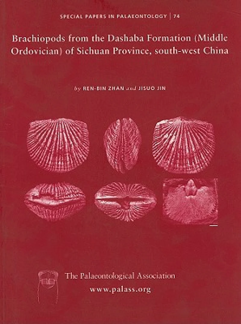 Special Papers in Palaeontology, Brachiopods from the Dashaba Formation (Middle Ordovician) of Sichuan Province, south-west China