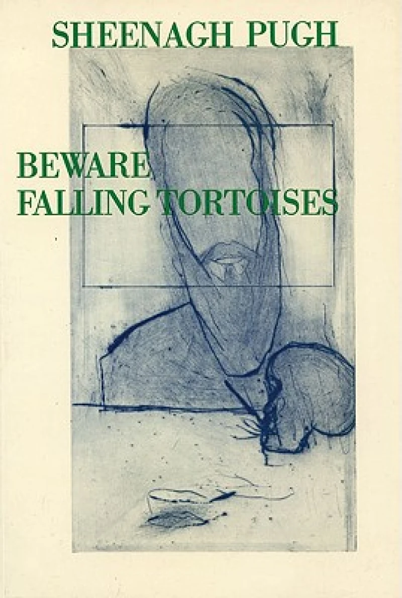 Beware Falling Tortoises