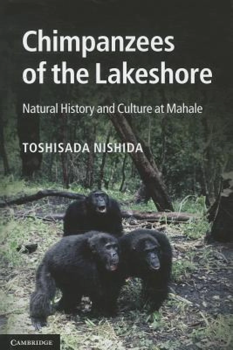 Chimpanzees of the Lakeshore