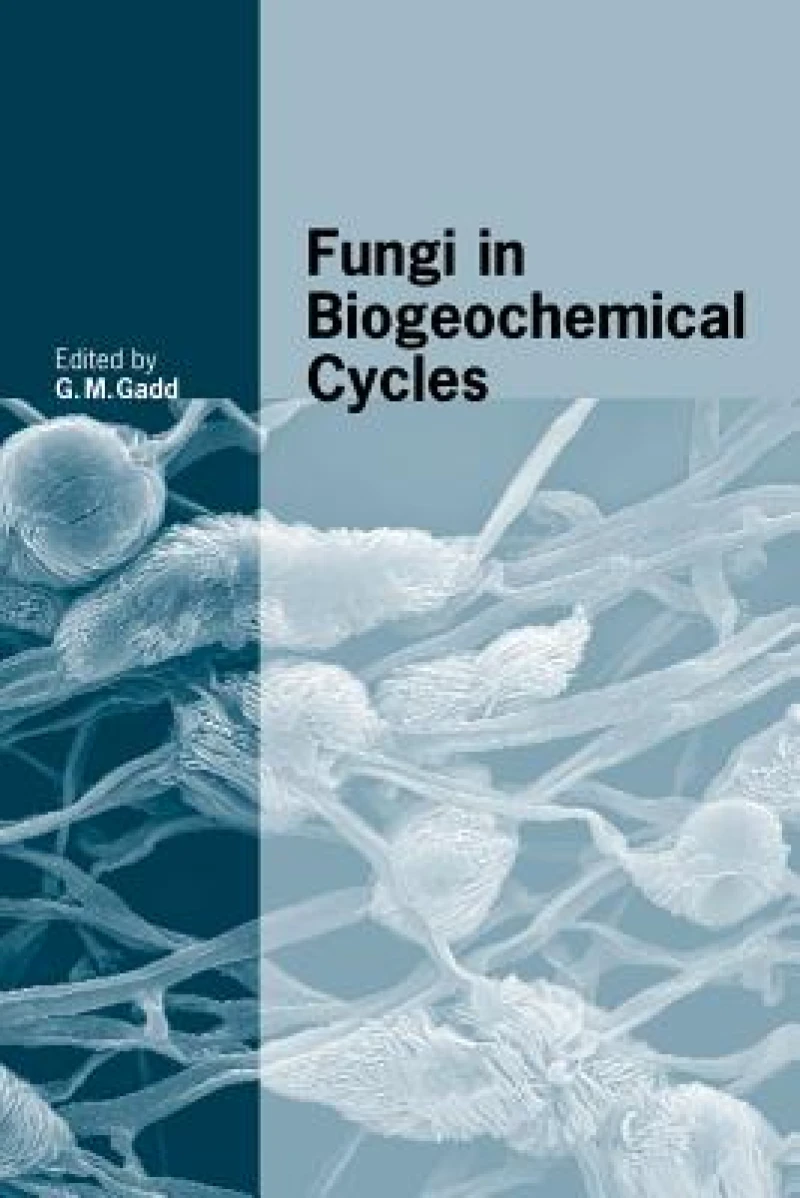 Fungi in Biogeochemical Cycles