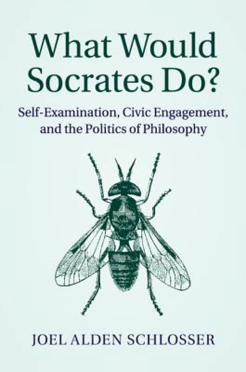 What Would Socrates Do?